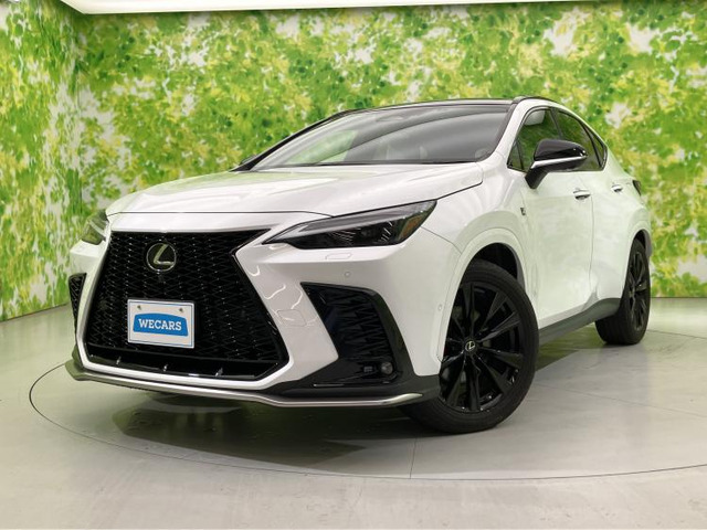 NX350h Fスポーツ