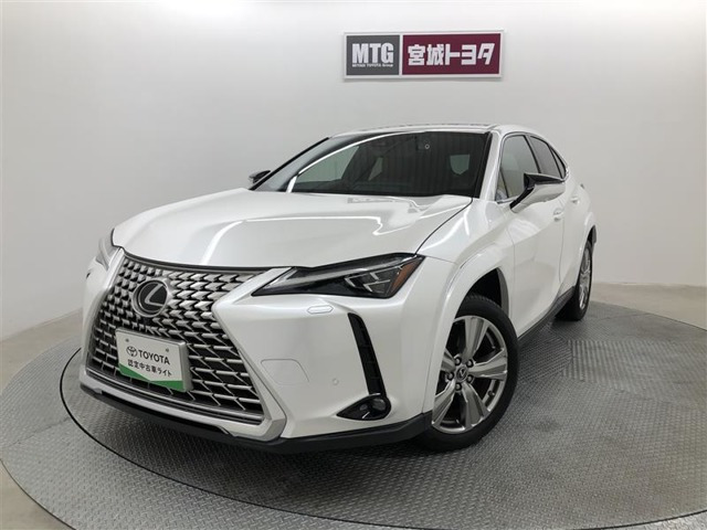 UX250h グレイスフル エクスプローラー