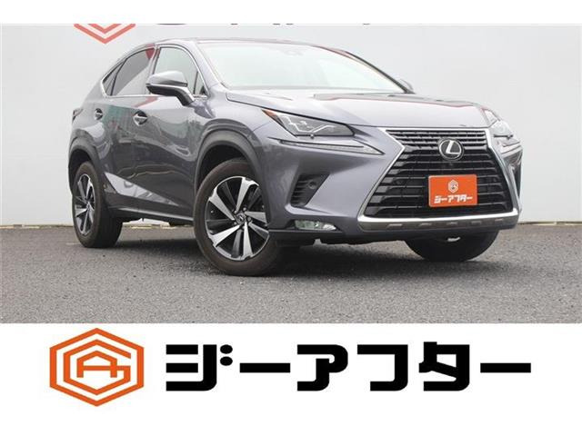 NX300 Iパッケージ