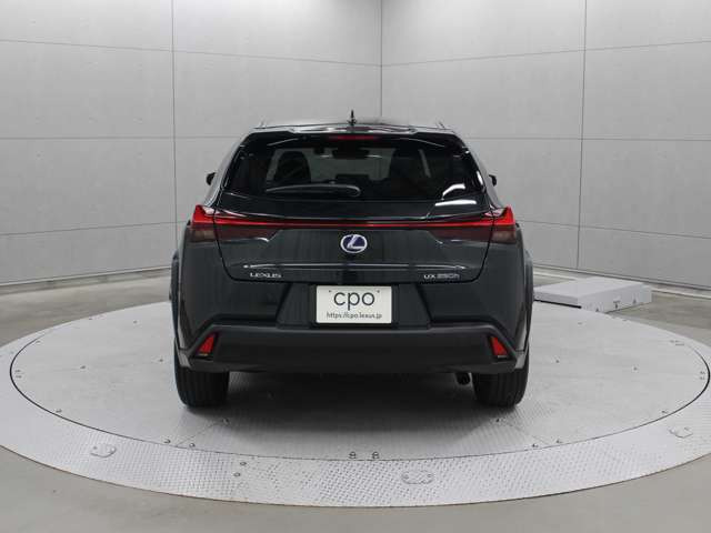 UX250h バージョンC