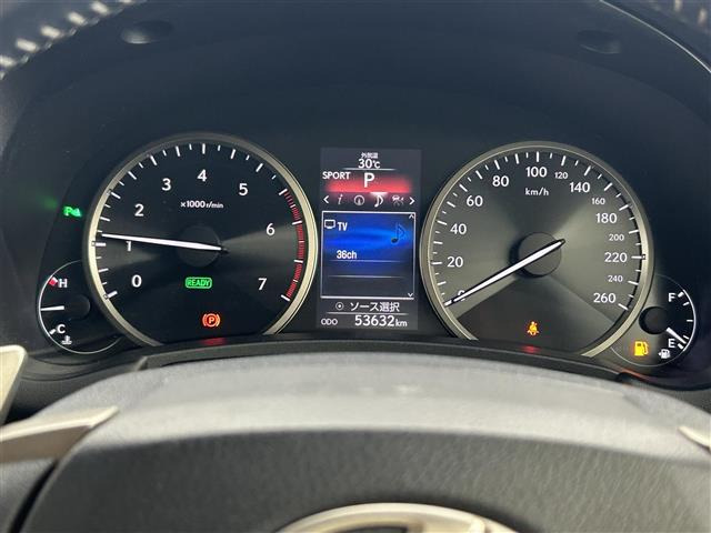 NX300h バージョンL