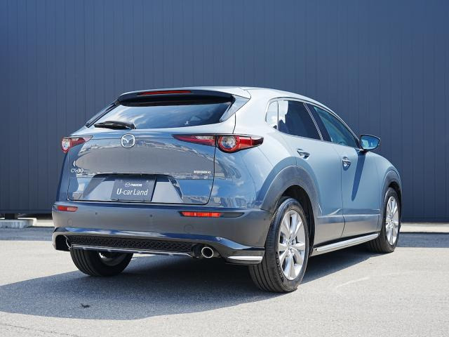CX-301.8 XD Lパッケージ