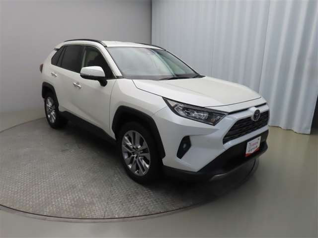 RAV4