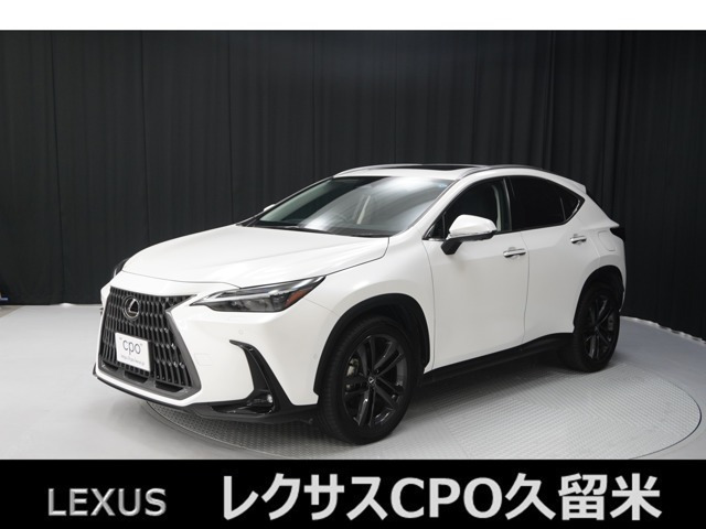 NX450hプラス バージョンL 4WD