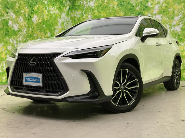 NX350h バージョンL