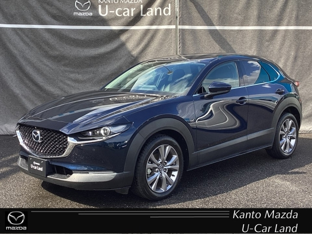 CX-301.8 XD Lパッケージ