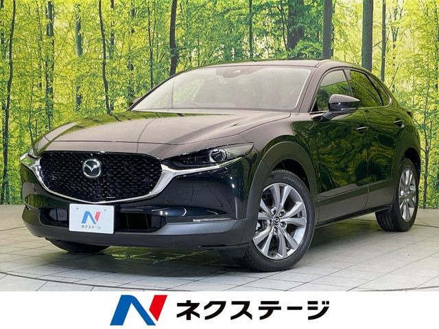 CX-302.0 20S プロアクティブ ツーリングセレクション