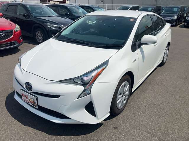 �y39.8���X�J�[�Y�̎��q���������������A���ɂ��肪�Ƃ��������܂��B���������q�s�Ö�368-1
