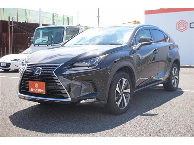 �����X�o���Ȃ����q�l�A���Ǝҗl�ւ̔̔��͂��f�肳���Ă��������܂��B�Ԍ������ԗ��̏ꍇ�́A�Ԍ����擾�������x�������z�ŕ\�����Ă���܂��B