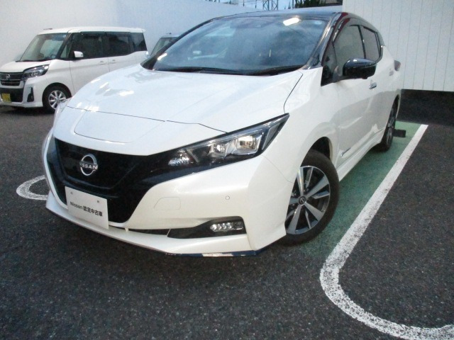 リーフe+ X