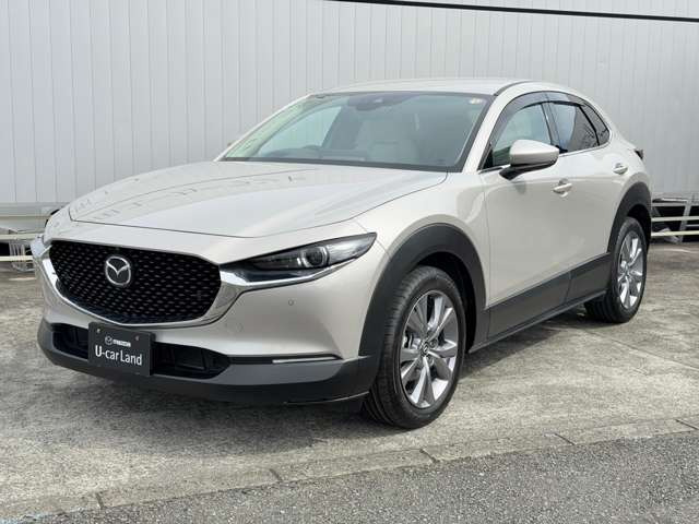 CX-302.0 20S プロアクティブ ツーリングセレクション