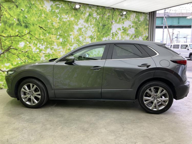 CX-301.8 XD Lパッケージ