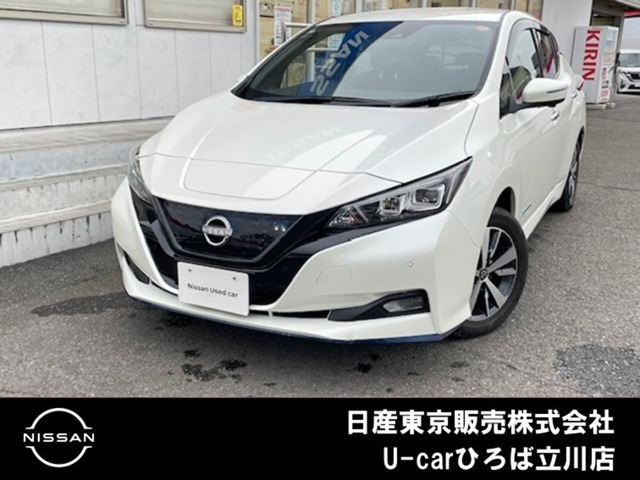 リーフe+ X