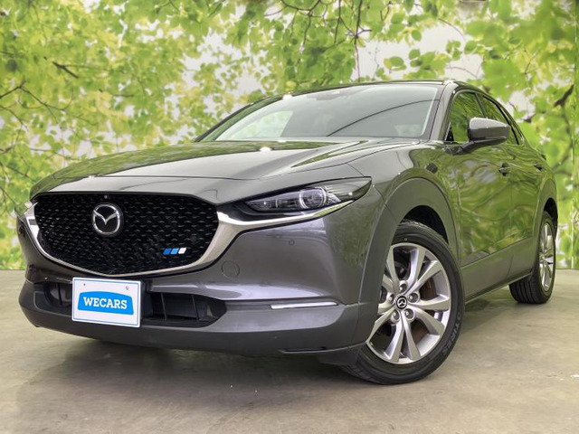 CX-301.8 XD Lパッケージ