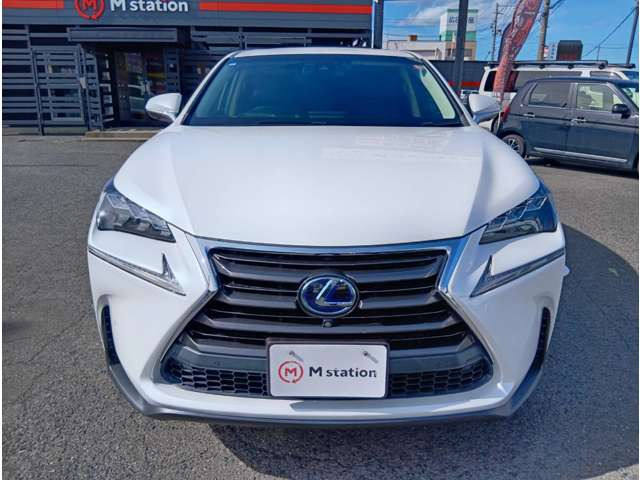 NX300h バージョンL 4WD