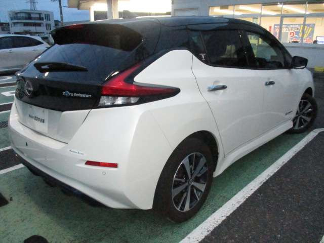 リーフe+ X