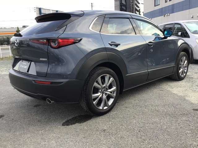 CX-301.8 XD Lパッケージ