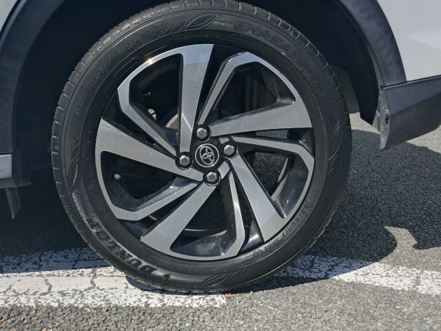 ライズ1.0 Z