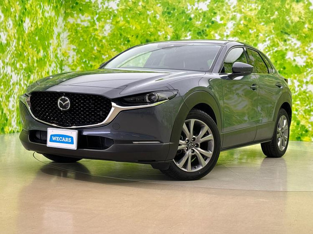 CX-302.0 20S プロアクティブ ツーリングセレクション 4WD