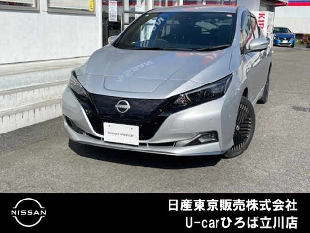 リーフe+ G