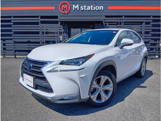 NX300h バージョンL 4WD
