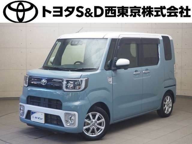 ピクシスメガL SAIII