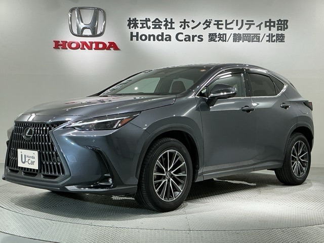 NX250
