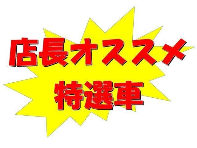 リーフe+ X