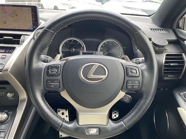 NX300 Fスポーツ