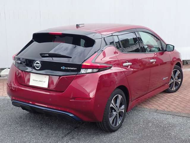 リーフe+ G