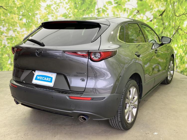 CX-301.8 XD Lパッケージ