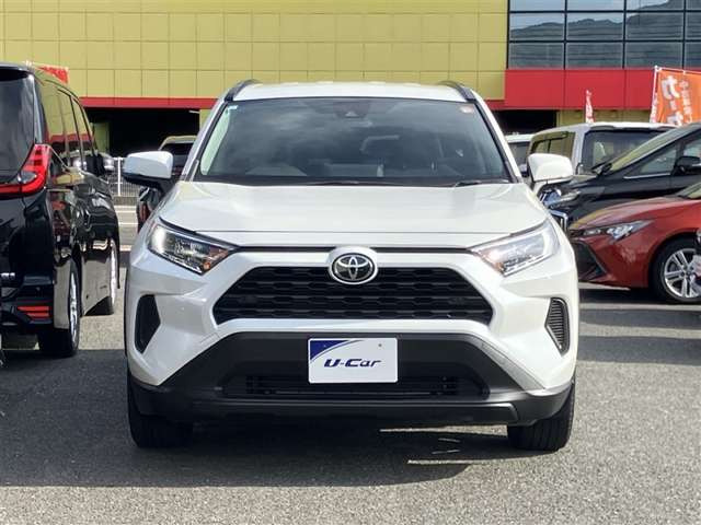 RAV42.0 X