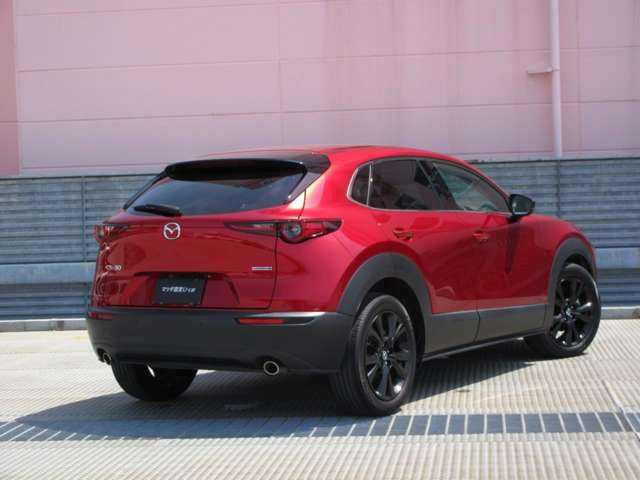 CX-302.0 20S