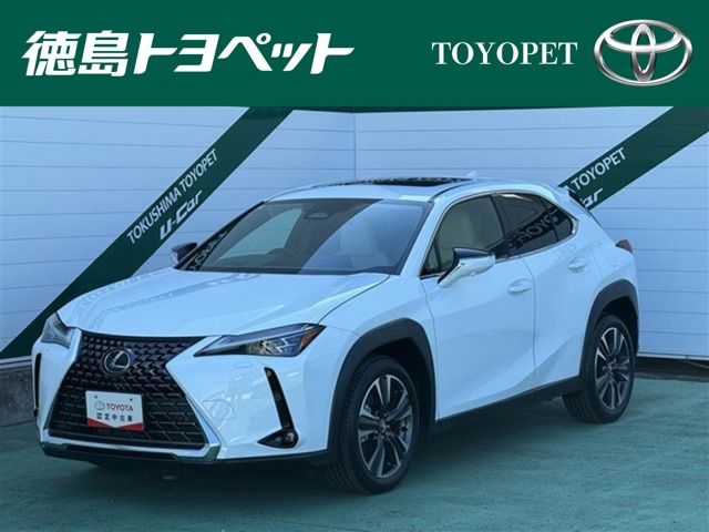 UX300h バージョンL