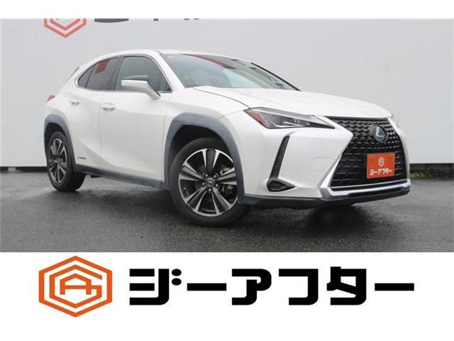UX250h
