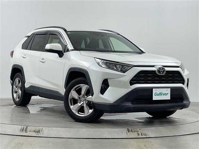 RAV42.0 X