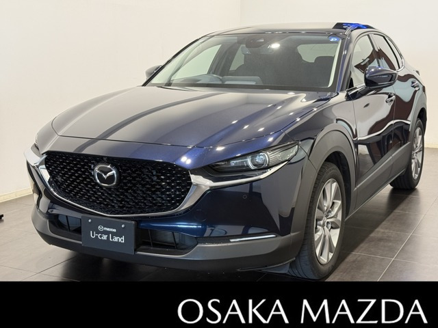 CX-302.0 20S プロアクティブ ツーリングセレクション