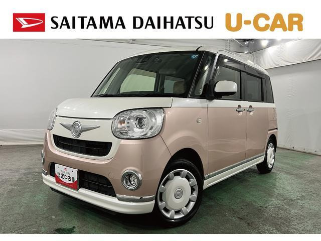 ムーヴキャンバスG メイクアップ SAIII