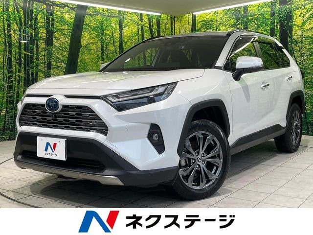 RAV4(トヨタ) 2.5 ハイブリッド G E-Four 4WD 中古車画像