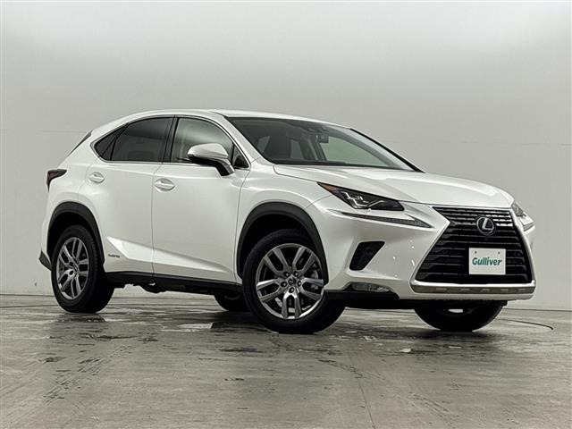 NX300h バージョンL