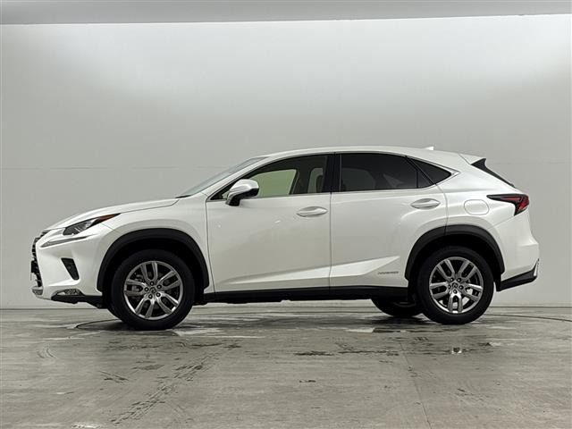 NX300h バージョンL