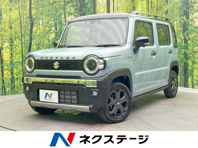 ハスラータフワイルド
