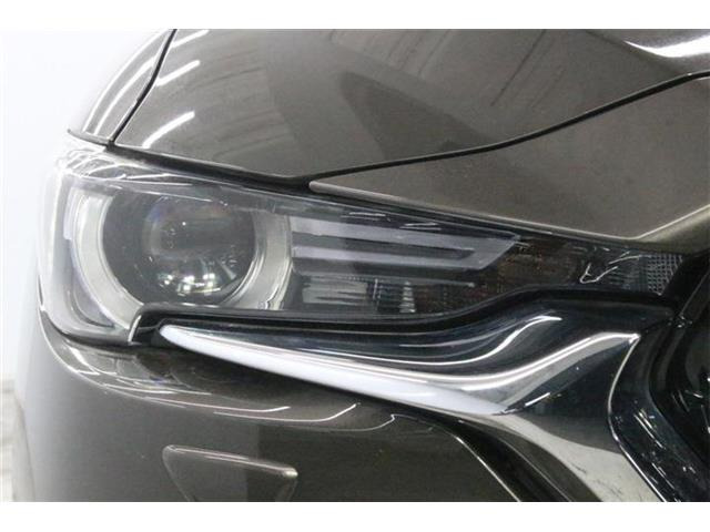 ���Ǝҗl�ւ̔̔��͂��f�肳���Ă��������܂��B �Ԍ������ԗ��̏ꍇ�́A�Ԍ����擾�������x�������z�ŕ\�����Ă���܂��B
