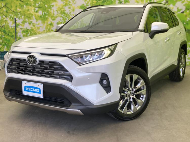 RAV42.0 G Zパッケージ 4WD