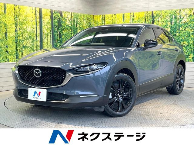 CX-302.0 20S ブラックトーンエディション