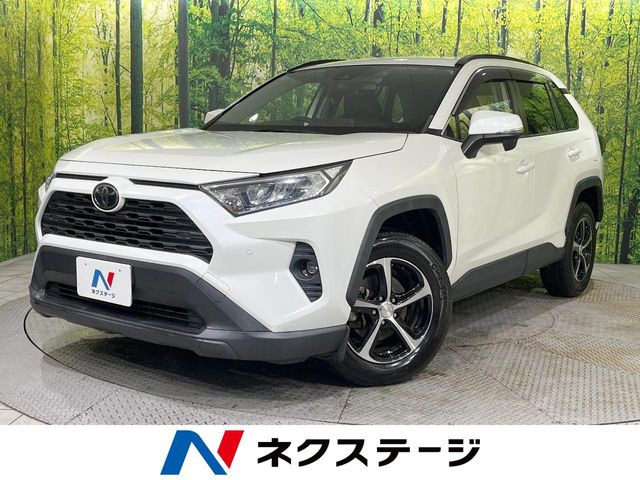 RAV42.0 X