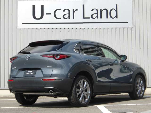 CX-301.8 XD Lパッケージ