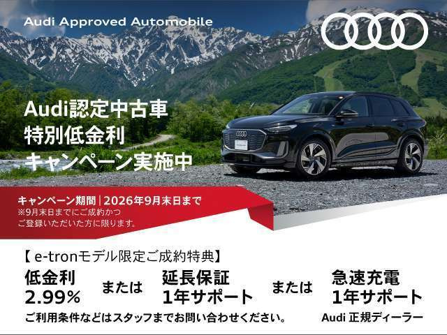 Q6 e-tronクワトロ アドバンスト Sラインパッケージ 4WD
