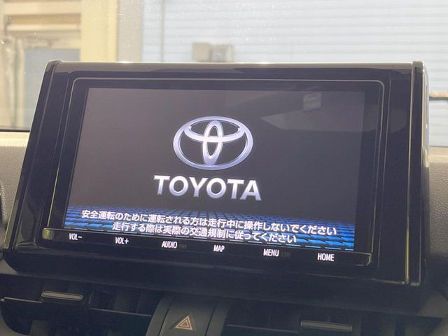 RAV42.0 X