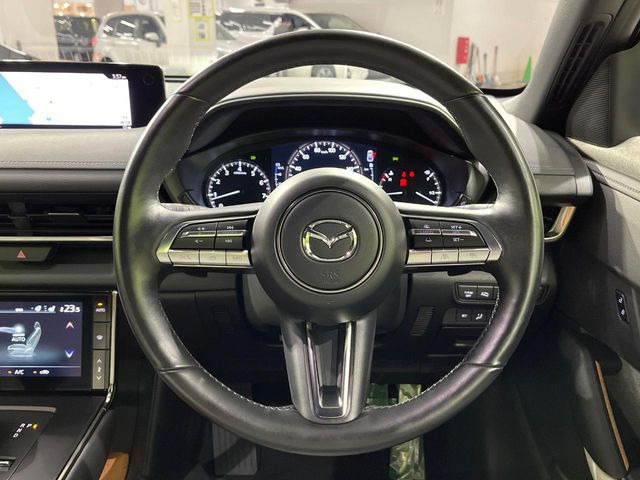 �y�}�c�_�E���[�_�[�N���[�Y�R���g���[���z�������H�ł̒��������s���y��!�����ő��x��ۂN���[�Y�R���g���[�����A�Փˌy���V�X�e���ƘA�g���A�O���̎ԗ������m���ĎԊԂ�ۂ悤�ɑ��x���߂��Ă���܂�!!